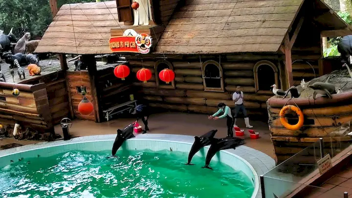 Dolphin Show - Taman Safari Bogor