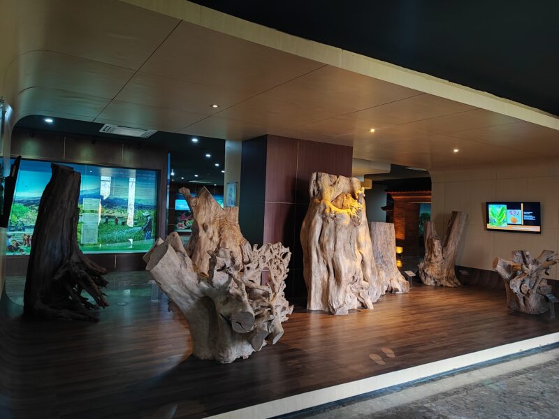 Museum Geopark Batur Kintamani Bali