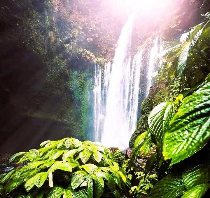 Air Terjun Tiu Kelep