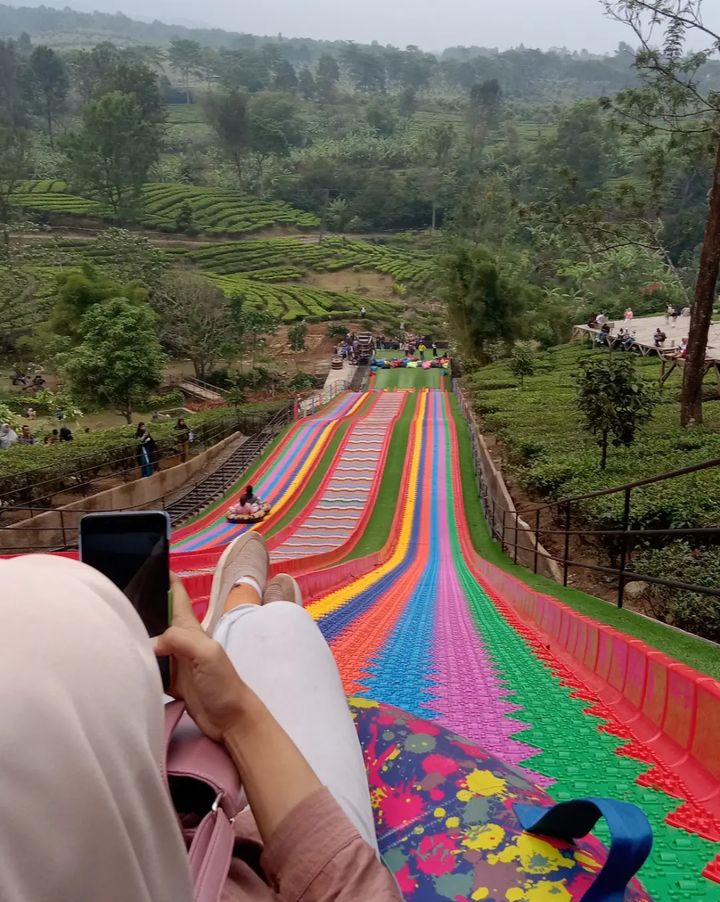Agro Wisata Gunung Mas tea Hills Puncak Cisarua Bogot Jawa Barat 