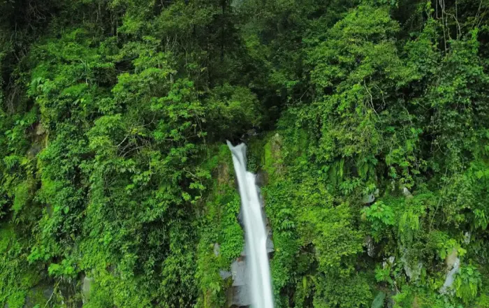 Air Terjun Curug Lawe Benowo Kalisidi
