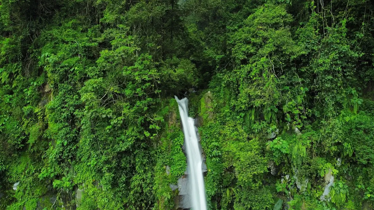 Curug Lawe Benowo Kalisidi: Hidden Gem Healing Terbaik di Ungaran
