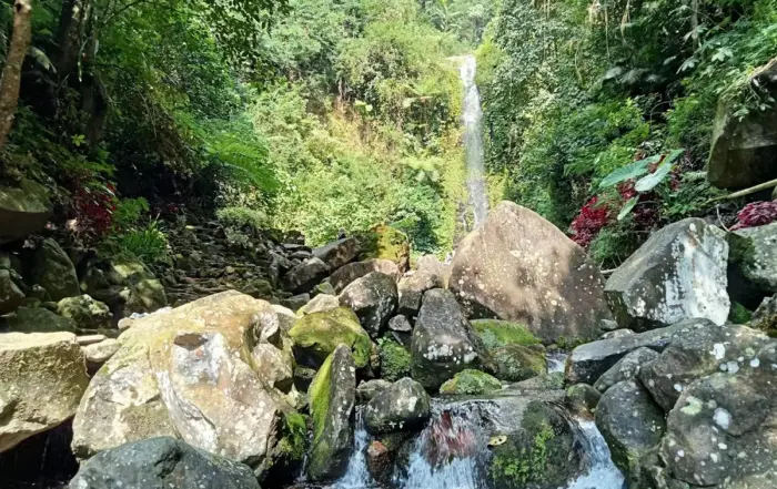 Air Terjun Suwono