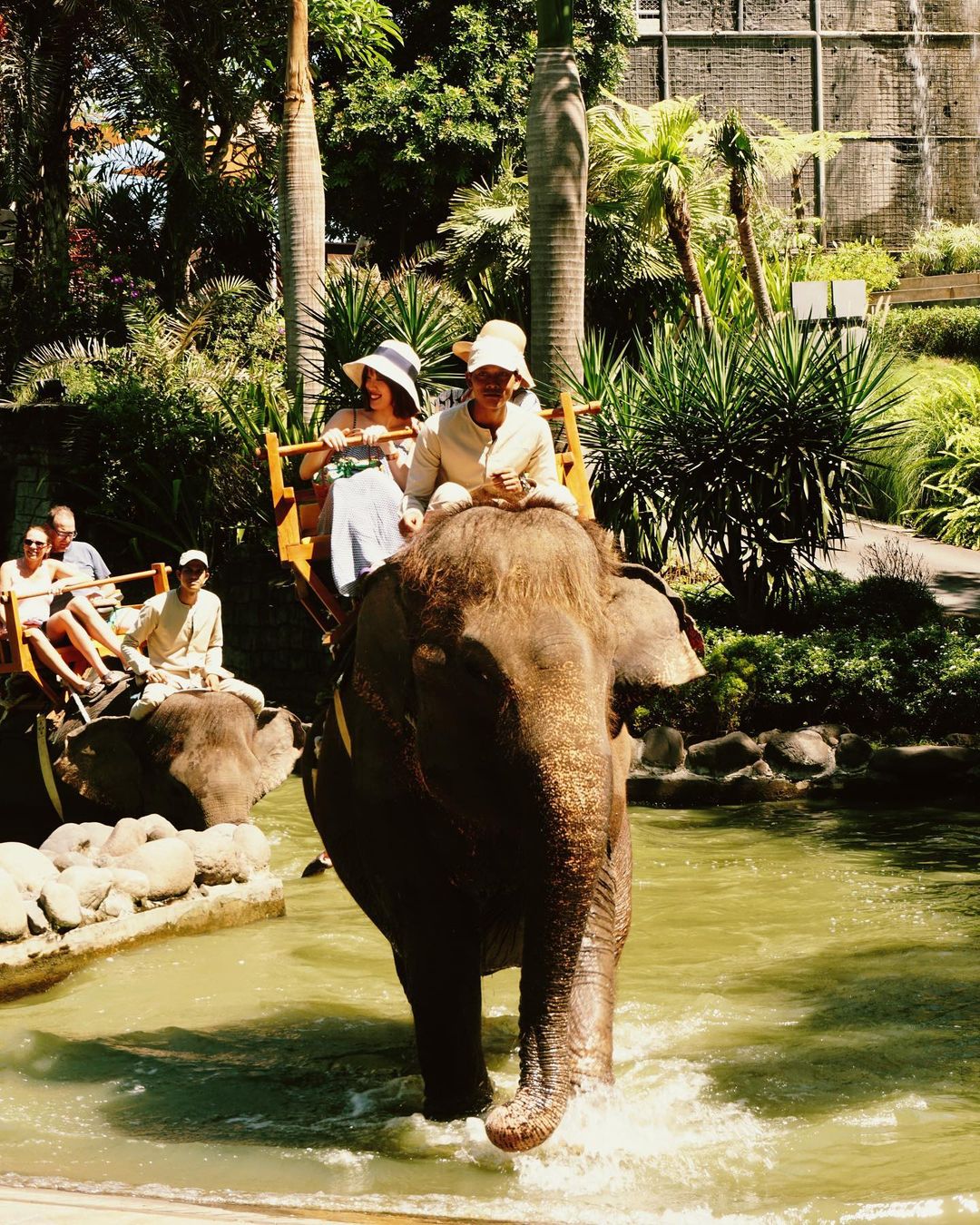 Eksplorasi Bali Zoo Park: Panduan Pengunjung untuk Petualangan dan Konservasi