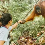 Bukit Lawang Kabupaten Langkat, Provinsi Sumatera Utara