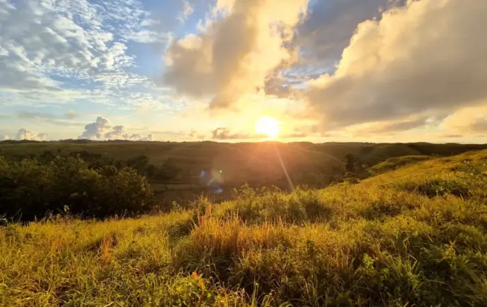 Kilau hangat cahaya matahari terbenam menyinari hamparan rumput dan lembah bergelombang di Bukit Teletubbies Nusa Penida, Bali.