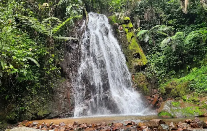 Curug Kembar Cisarua Bogor