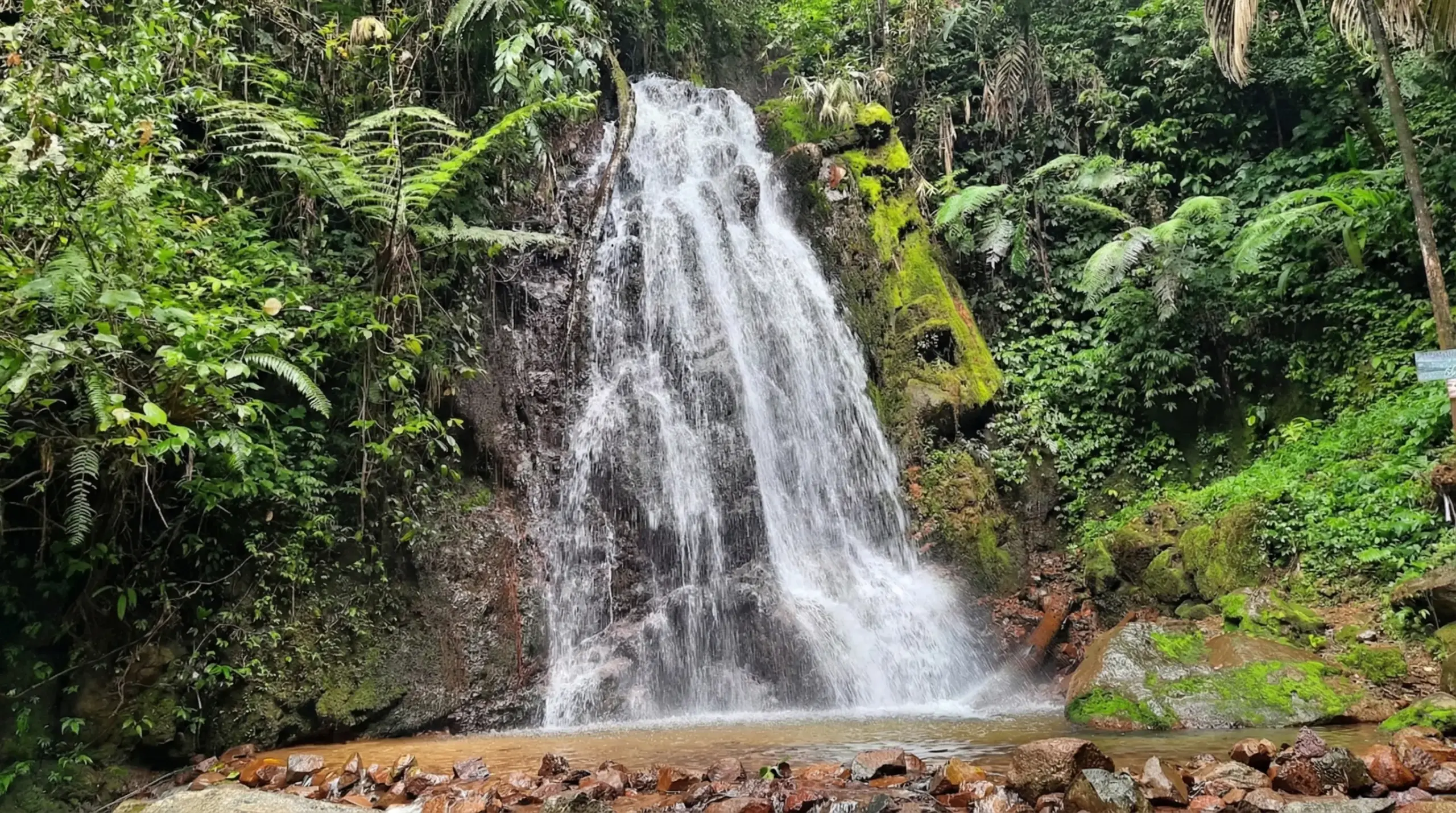 Hidden Gem Curug Kembar Cisarua: Rute, Tiket & Tips River Trekking