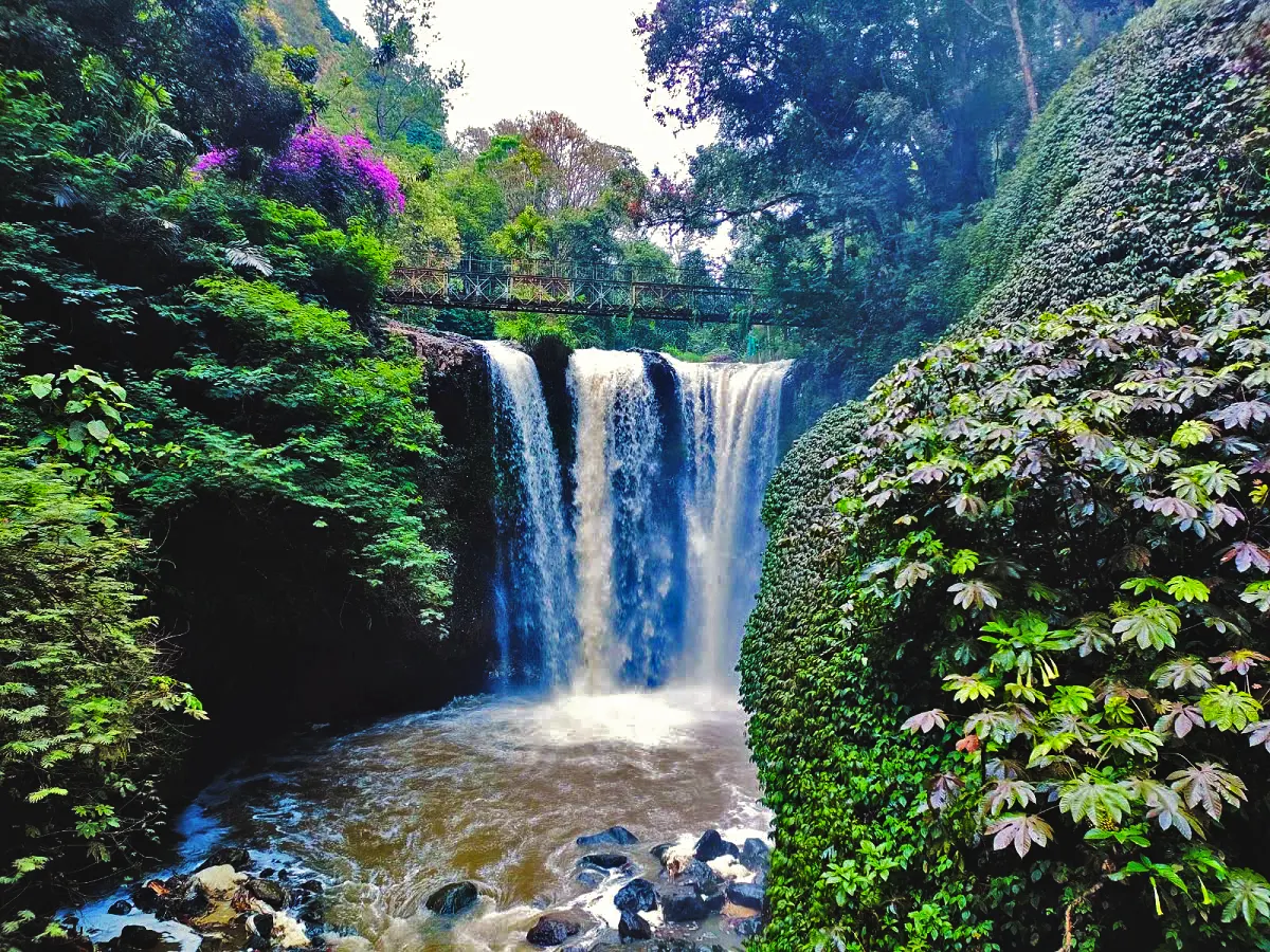 Trekking Seru ke Curug Omas Tahura: Pilih Jalur Dago atau Maribaya?