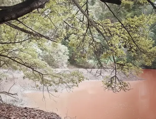 Rahasia Bukit Raje Mandare: Antara Danau Merah dan Jejak Candi Sriwijaya