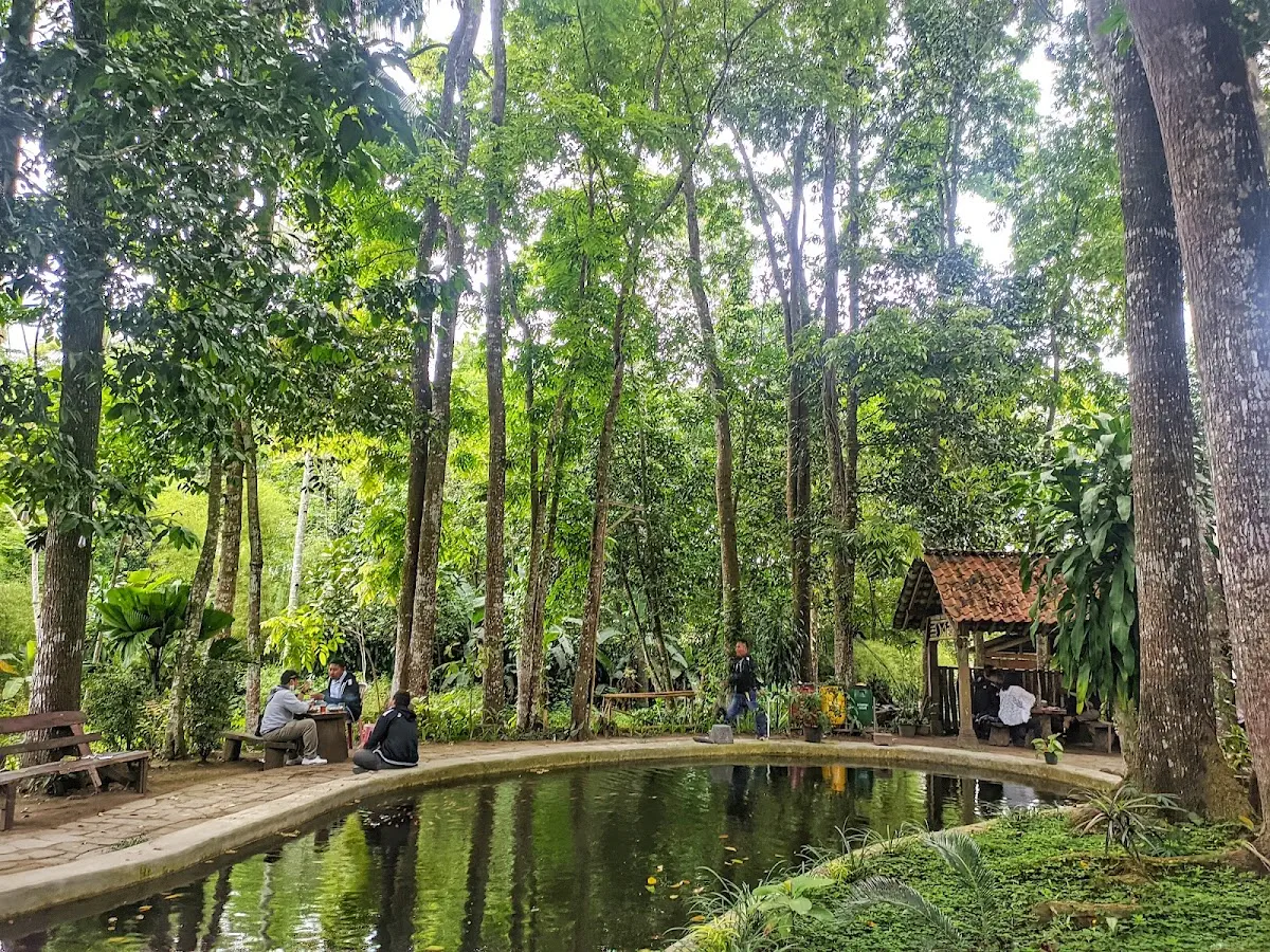 Lokasi, Sejarah, & Harga Homestay Desa Wisata Pentingsari (Update 2025)