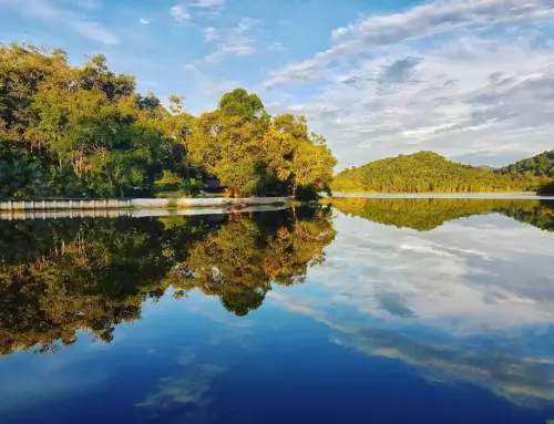 Menjelajah Danau Sebedang: Surga Tersembunyi & Legenda Cinta di Kalimantan Barat