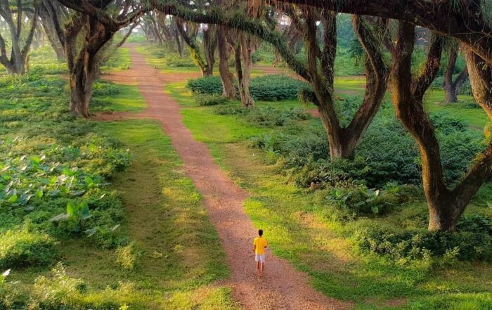 Djawatan Perhutani Benculuk Banyuwangi