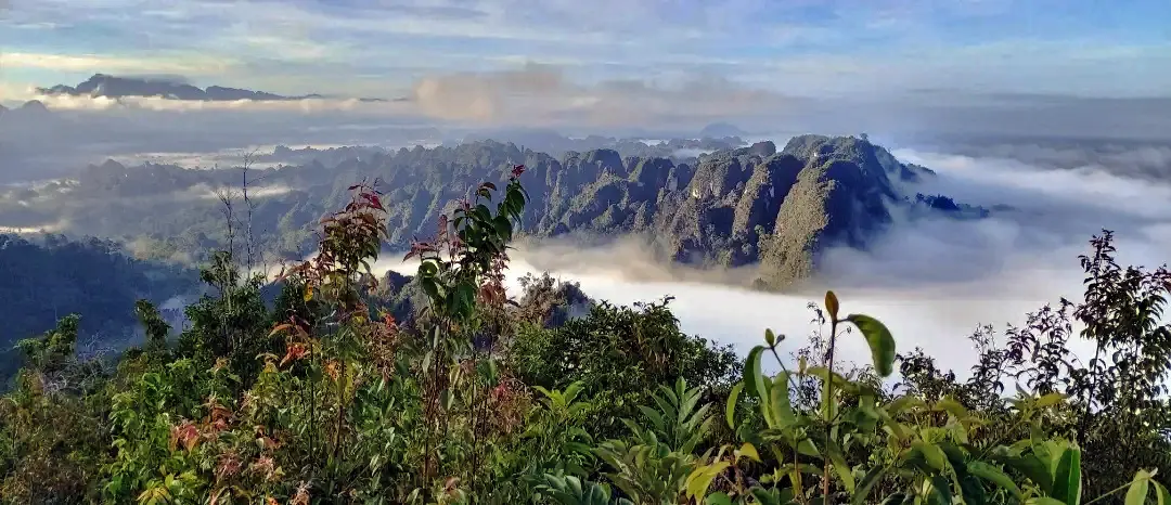 Merabu, Kampung Asik di Pedalaman Kaltim: Saat Manusia dan Hutan Hidup Harmonis