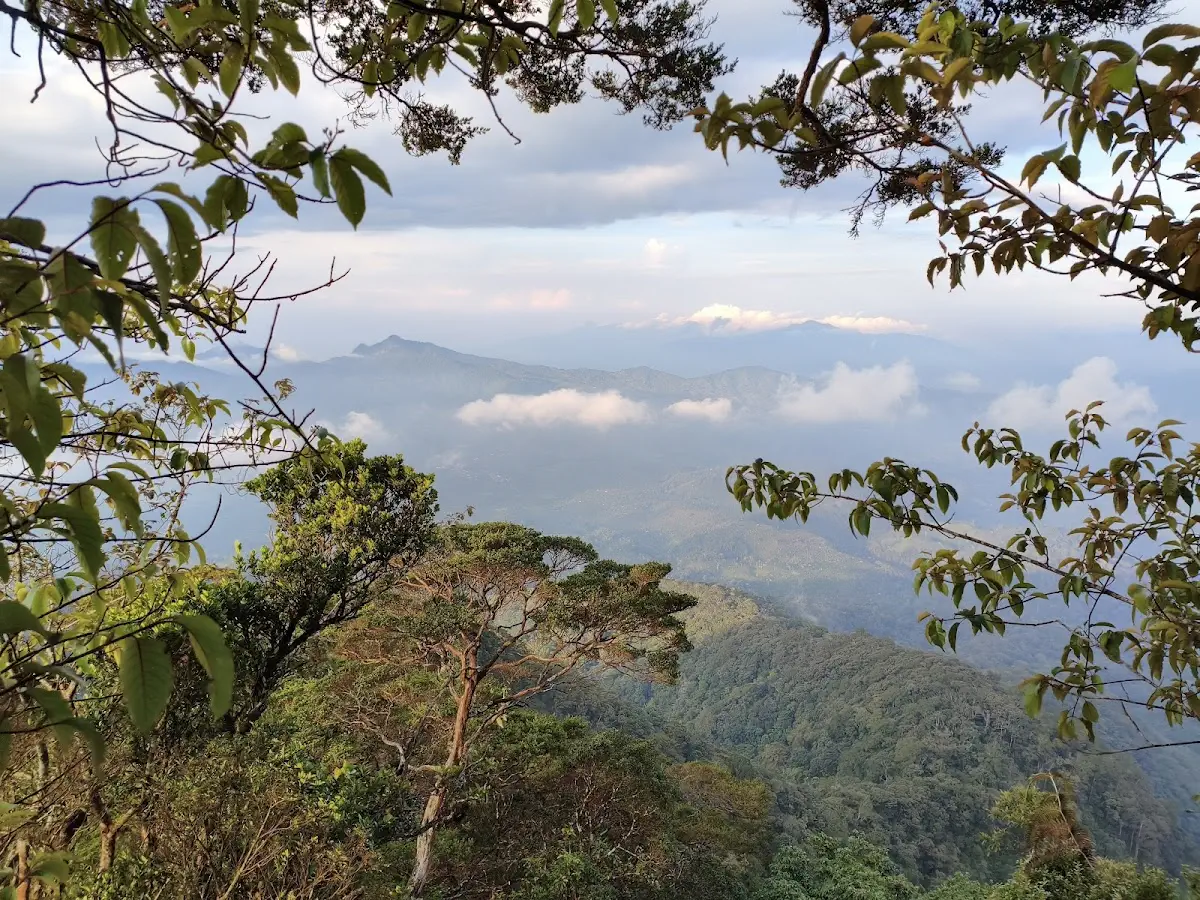 Jalur pendakian Gunung Pesagi