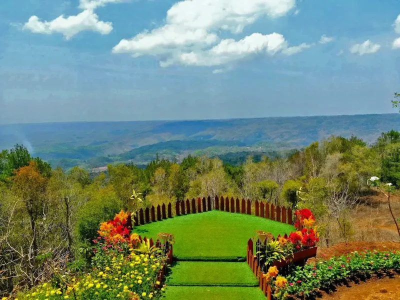 Hutan Pinus Mangunan Jogja