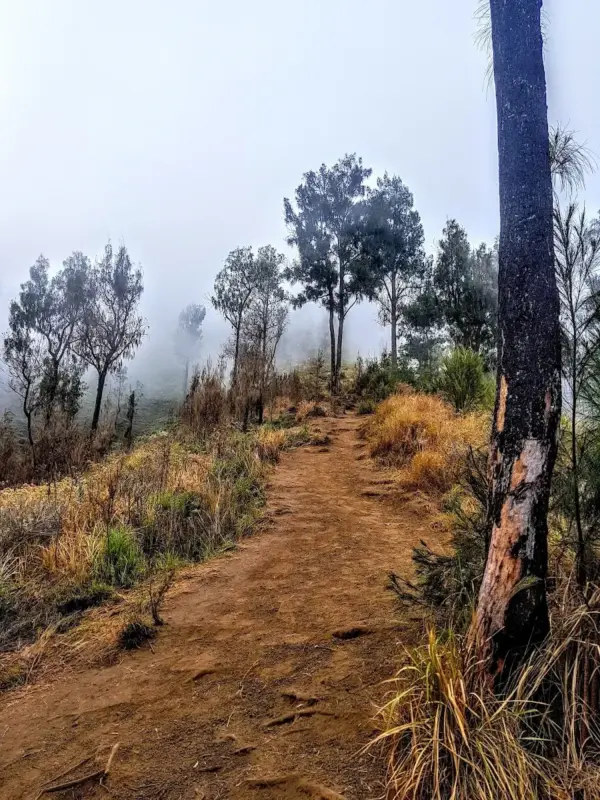 Peta Jalur Pendakian Gunung Rinjani via Sembalun