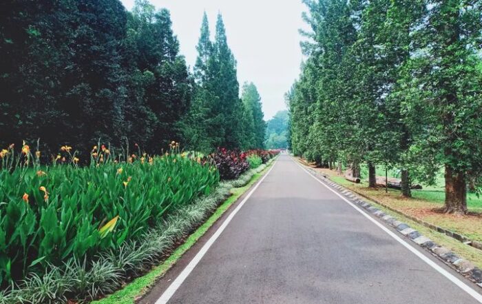 Kebun Raya Bogor Jawa Barat