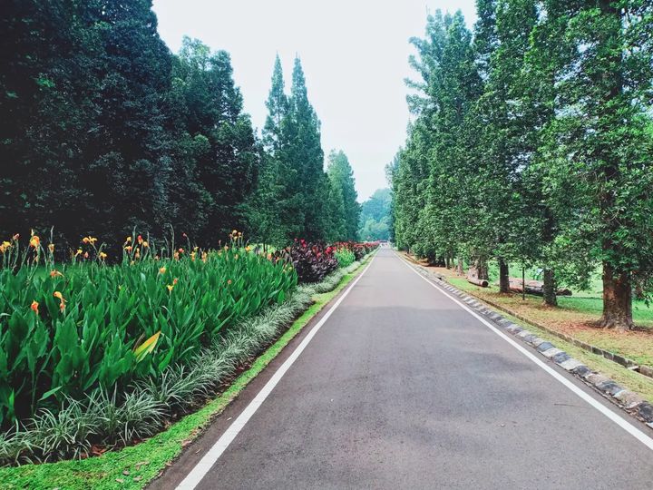 15 Obyek Wisata Terfavorit Di Bogor 2025