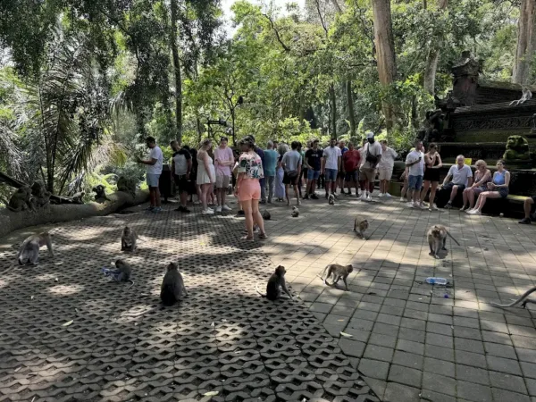 Monkey Forest Ubud