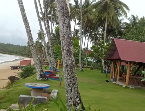 Teluk Dalam Nias Selatan: Destinasi Wajib Surfing & Melihat Tradisi Lompat Batu