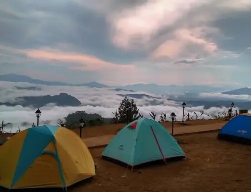 Pango-Pango: Menikmati Negeri di Atas Awan Tana Toraja
