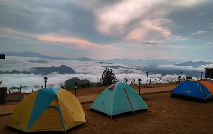 Pango-Pango Makale Tana toraja