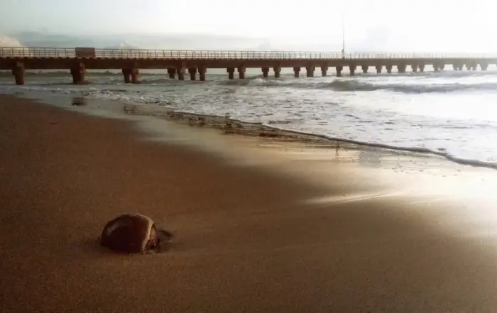 Pantai Barombong Makassar