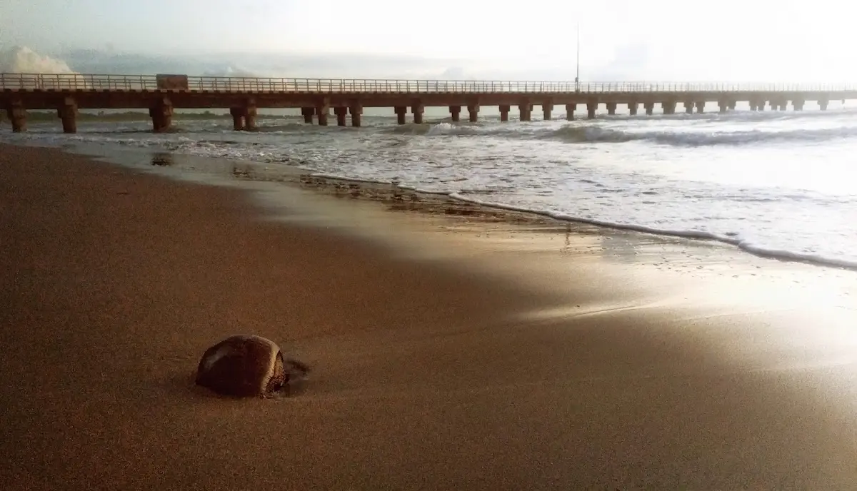 Pantai Barombong Rumahnya Nelayan Dan Keindahan Sunset