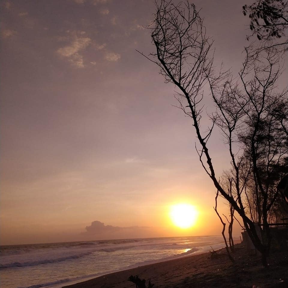 Pantai Kuwaru Bantul Yogyakarta