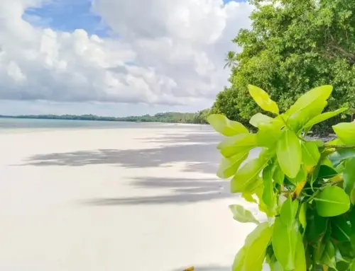 Pantai Ngurbloat Pantai Dengan Pasir Putih Paling Lembut Di Asia