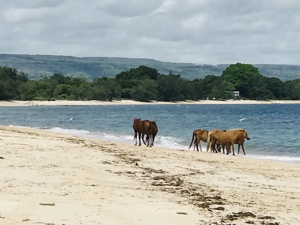 Pantai Puru Kambera Sumba Timur