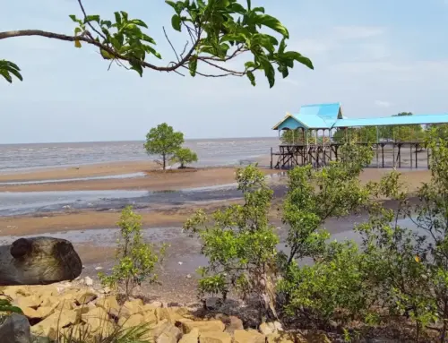 Ada Apa di Pantai Sepahat? (Info Lengkap: Pasir Unik, Aktivitas, & Jam Buka 2026)