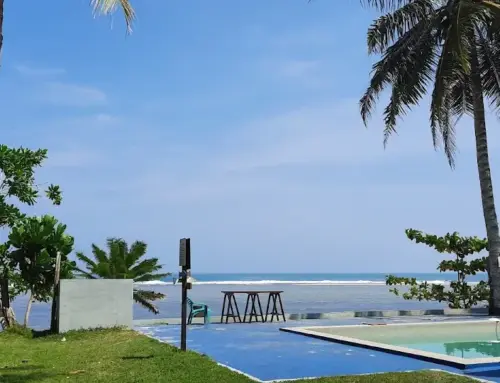 Pantai Tanjung Setia Surga Tersembunyi Bagi Peselancar Di Lampung