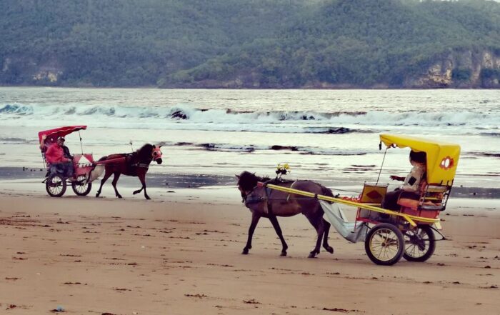 Pantai Teleng Ria Pacitan