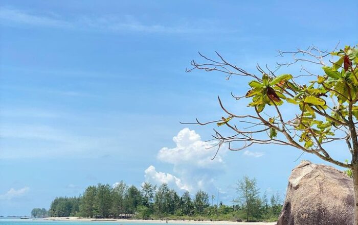 Pantai Trikora Pulau Bintan Kepulauan Riu