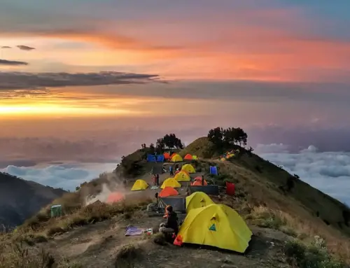 Jalur Sembalun Gunung Rinjani: Tantangan Sabana Menuju Atap Lombok 3.726 Mdpl