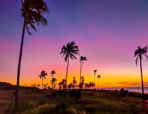 Wisata Bawah Laut Basilika – Pulau Liwutongkidi Buton