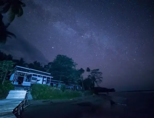 Panduan Wisata Pulau Una-Una 2026, Togean: Rute, Diving, & Sejarah Unik