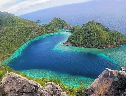 Pulau Misool Surga Wisata Laut Di Raja Ampat