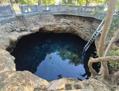 Pusat Laut Donggala : Semua yang Perlu Anda Tahu Sebelum Berkunjung
