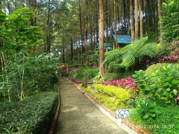 Suwono Indah Park Ngawi