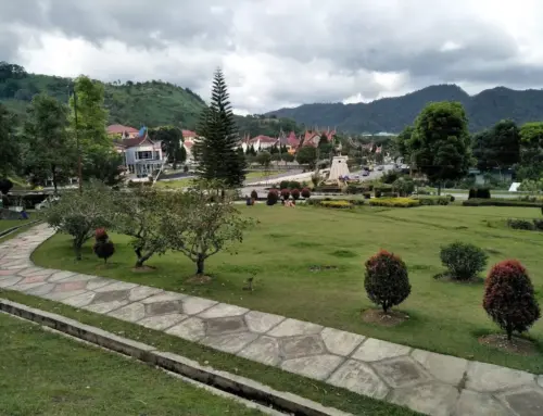 Pesona Taman Hutan Kota Arosuka: Oase Sejuk di Jalur Lintas Sumatera