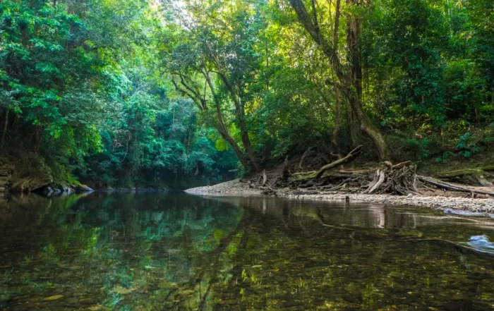 Taman Nasional Betung Kerihun