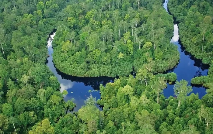 Taman Nasional Bukit Tigapuluh
