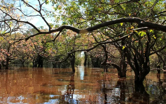 Taman Nasional Danau Sentarum - Kapuas Hulu