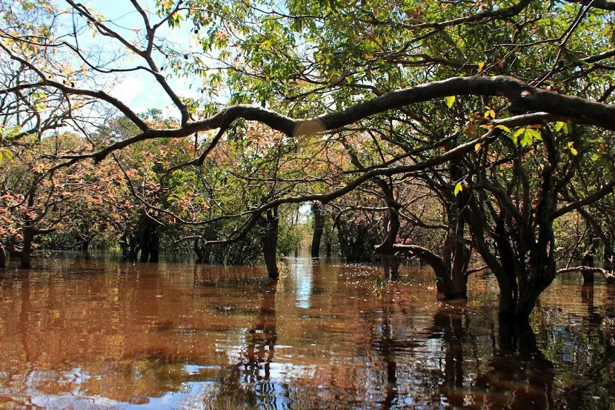 Kapuas Hulu ‘The Heart of Borneo’: Rute, Spot Memancing, dan Kearifan Lokal Dayak