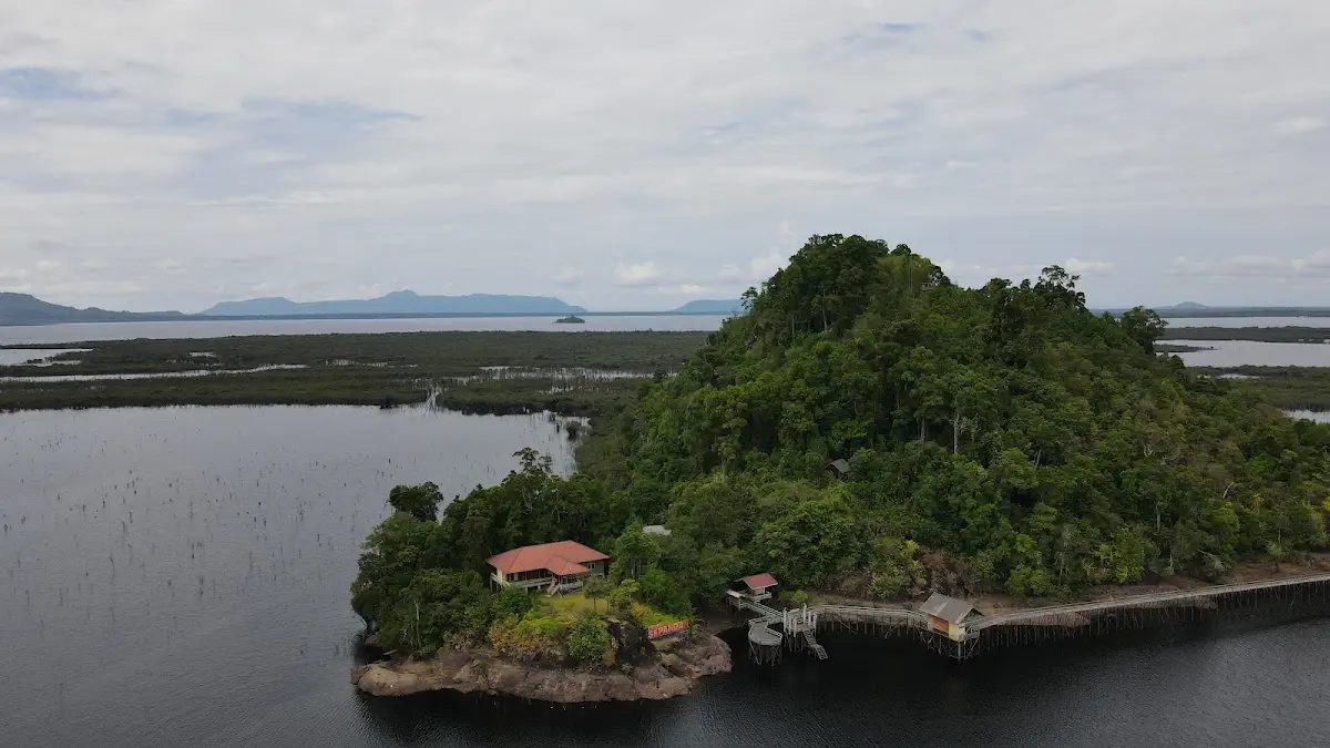 Danau Sentarum: Cagar Biosfer UNESCO yang Wajib Dikunjungi 2025 (Rute, Biaya & Aktivitas)