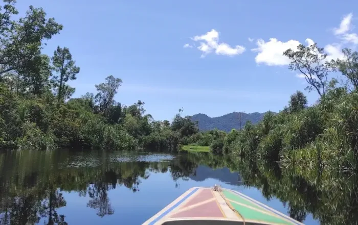 Taman Nasional Gunung Palung