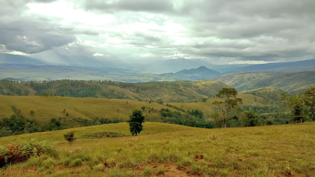 Taman Nasional Lore Lindu: Menjelajahi Situs Megalitik & Fauna Endemik